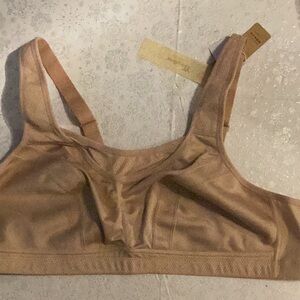 NWT Wingslove bra